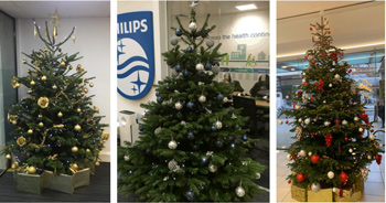 Our Plants and Grounds Maintenance Division will brand your tree to match your corporate colours...
