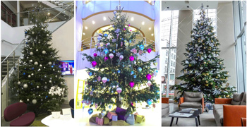 Our Plants and Grounds Maintenance Division will brand your tree to match your corporate colours...