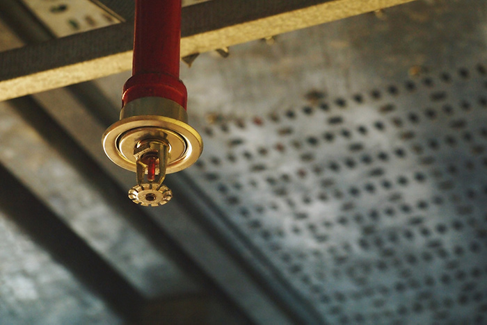 Fire sprinkler mounted on a ceiling