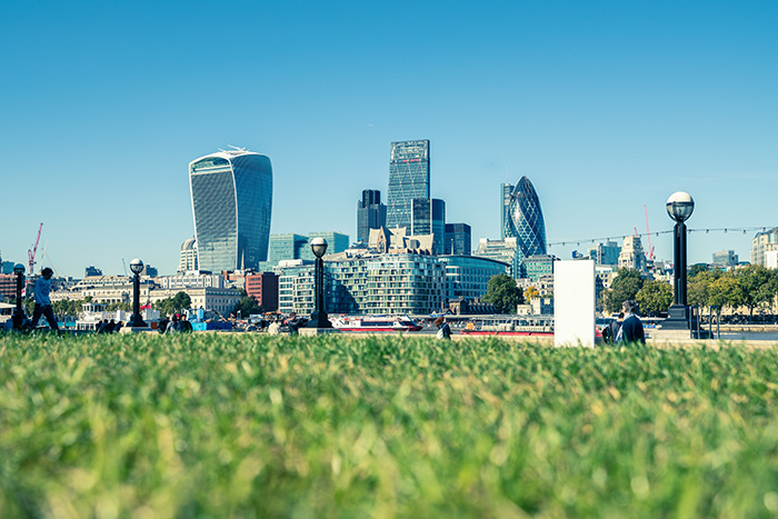 Buildings of the London skyline, seen from grass in a park